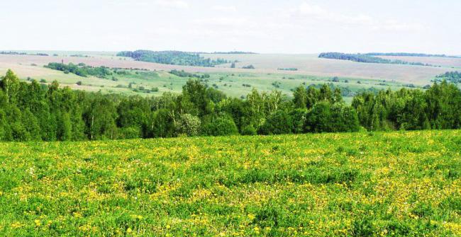 Синоптики прогнозируют легкое похолодание