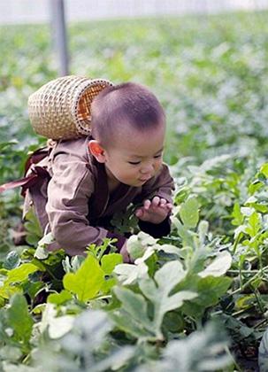 Помогающий отцу собирать арбузы малыш из Китая стал звездой соцсетей
