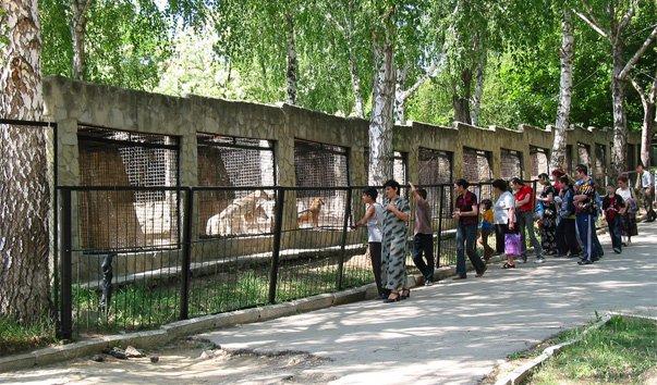 Кишинёвский зоопарк пополнился новыми постояльцами