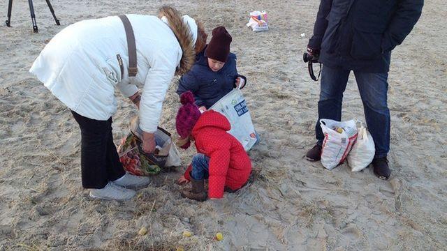 Побережье немецкого острова засыпало "киндер-сюрпризами"