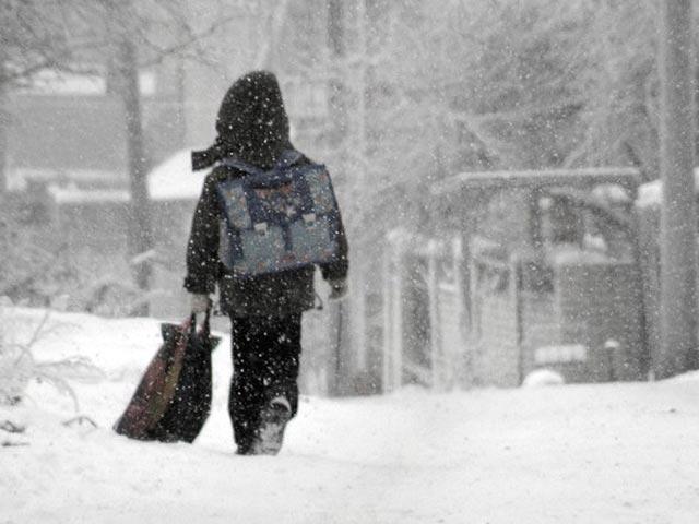 Более 30 учебных заведений не работают в связи с неблагоприятными погодными условиями