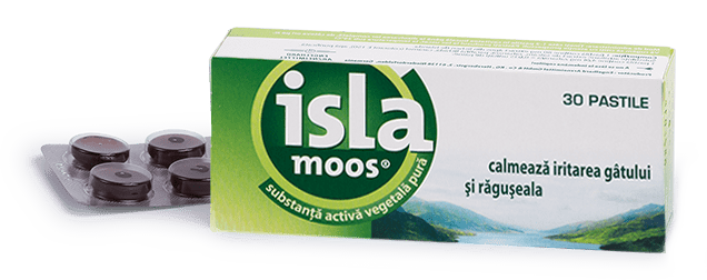 Исландский мох – природный антибиотик: эффективность и применение