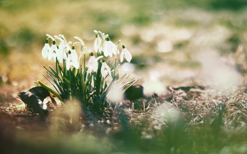 Iarna se încheie cu temperaturi peste normă