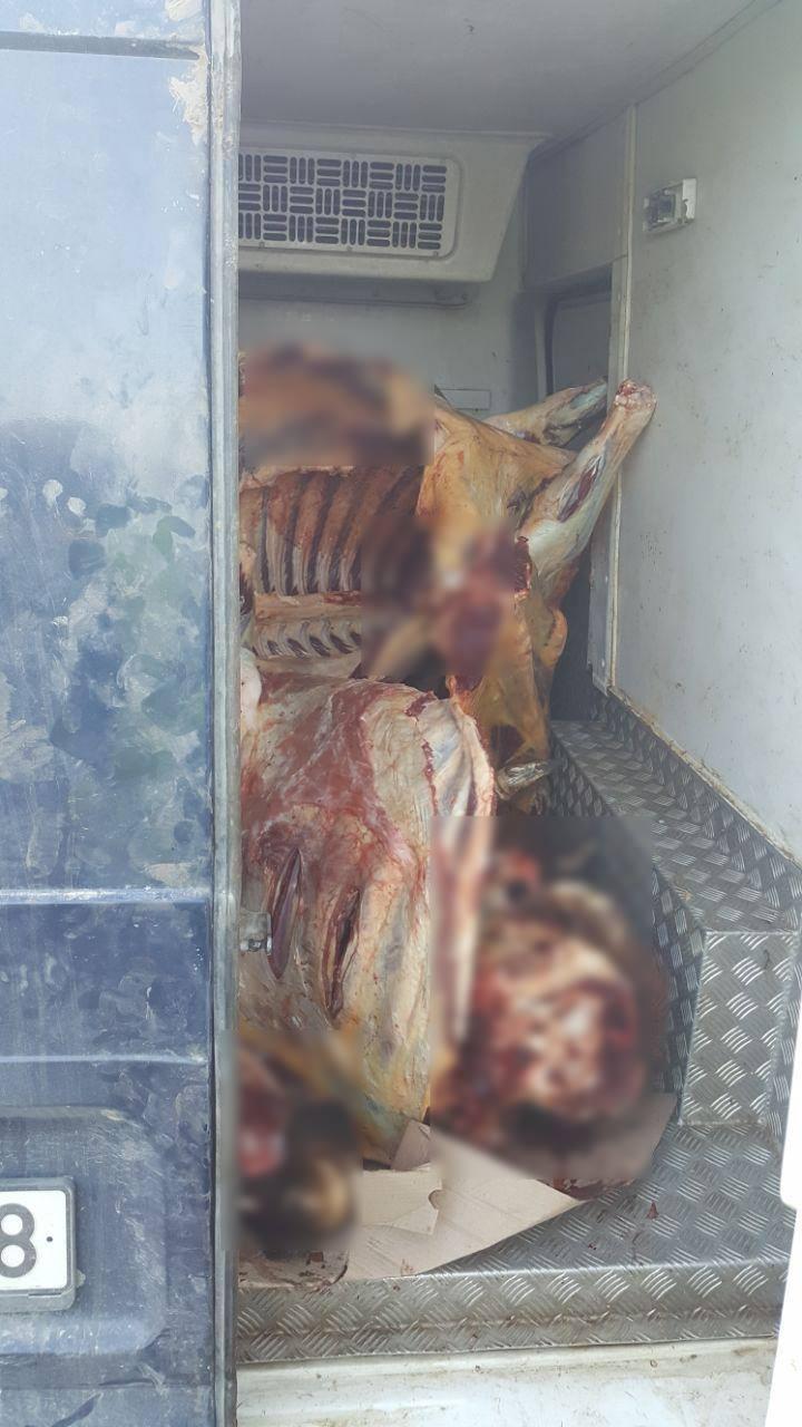 Revoltător! Jumătate de TONĂ de carne de bovină, transformată fără acte (FOTO)
