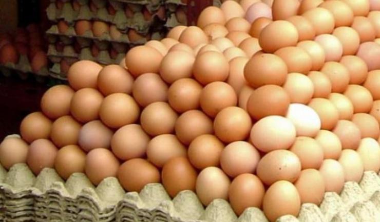 Un nou insecticid a fost descoperit în ouă. Atenţie, este toxic!