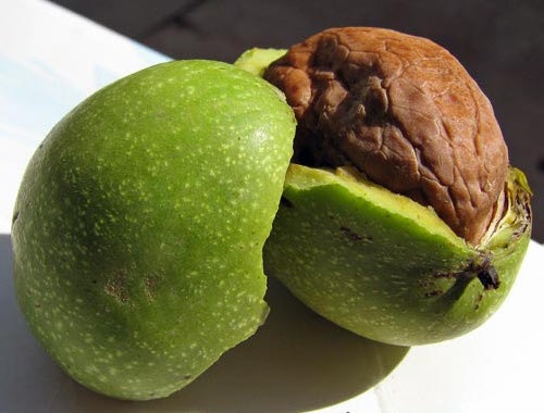 Чудо под зеленой кожурой: 10 причин есть орехи ежедневно!