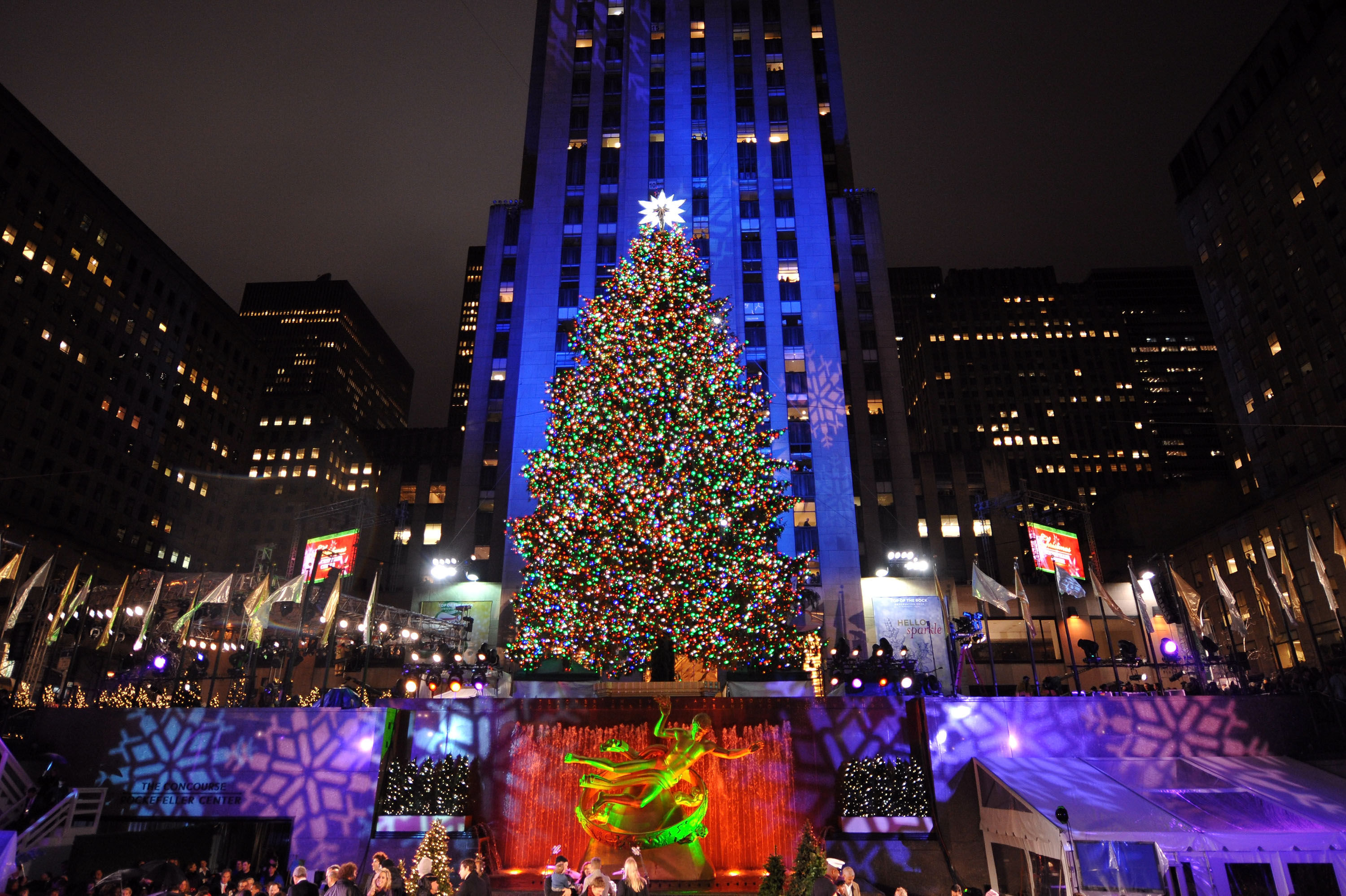 В Нью-Йорке зажгли главную рождественскую елку США (ВИДЕО)