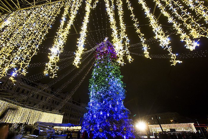 Bradul din Orhei, într-un top cu cei mai frumoși pomi de Crăciun din lume