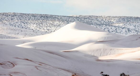 Невероятно: в Сахаре выпал снег!