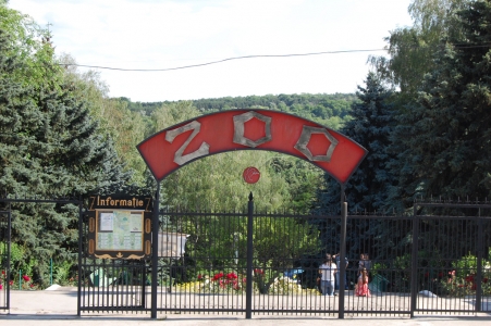 Кишиневский зоопарк закроется на неделю