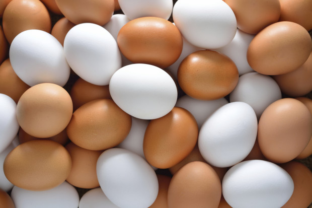 Яйца - польза или вред?