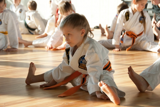 Единоборства и боевые искусства – секции для детей в Кишиневе. Обзор предложений