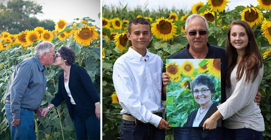 Мужчина посадил 160 гектаров подсолнечника в память о своей жене, умершей от рака