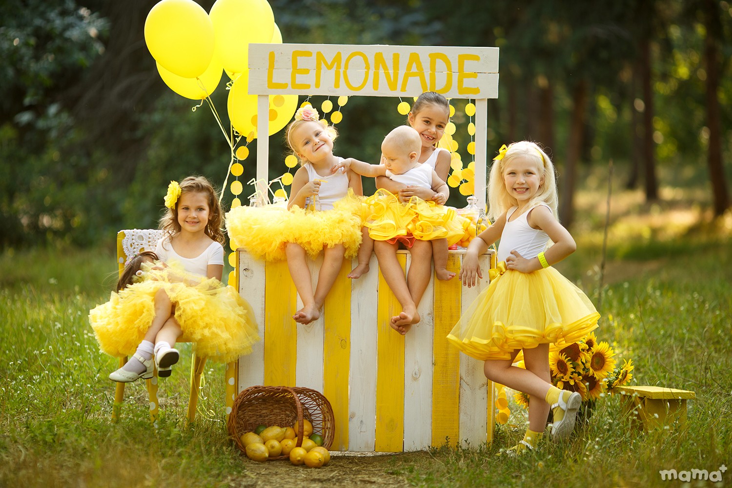 Proiect foto: "O limonadă răcoritoare" de Aliona Nikanorova