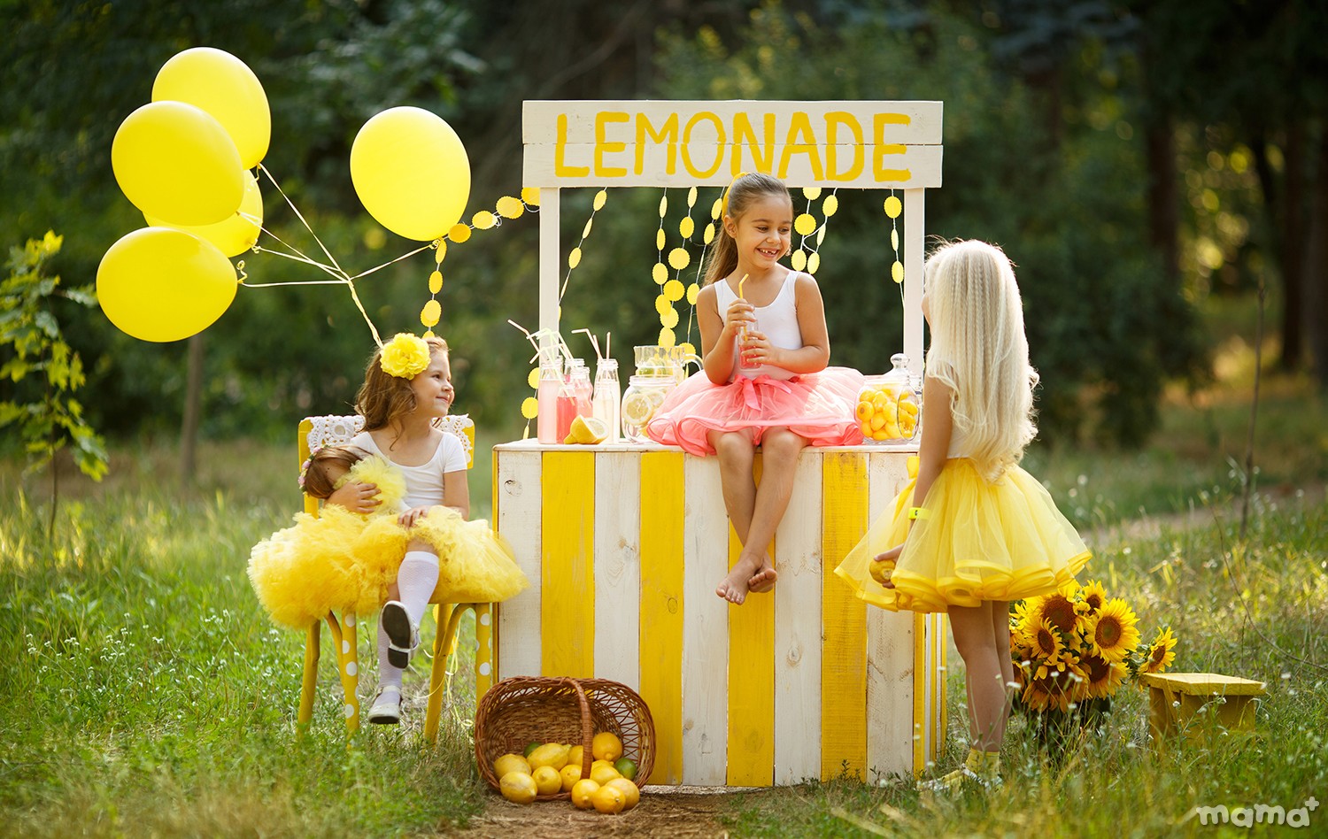 Proiect foto: "O limonadă răcoritoare" de Aliona Nikanorova