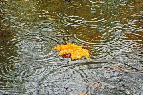 Объявлен желтый код в связи с сильными дождями