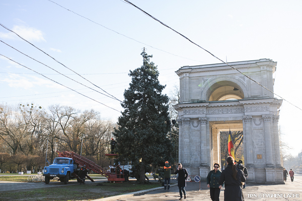 Рождественская елка будет расположена рядом с Триумфальной аркой