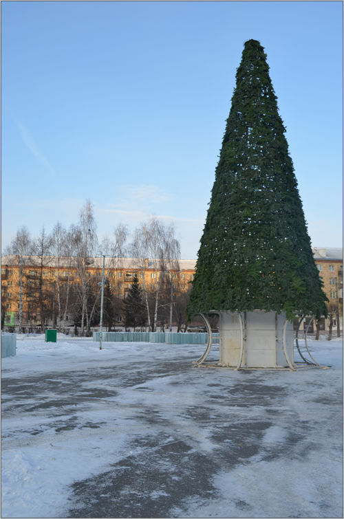 Самые большие новогодние и рождественские елки